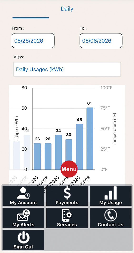 photo for Managing Your Electric Account Has Never  Been Easier